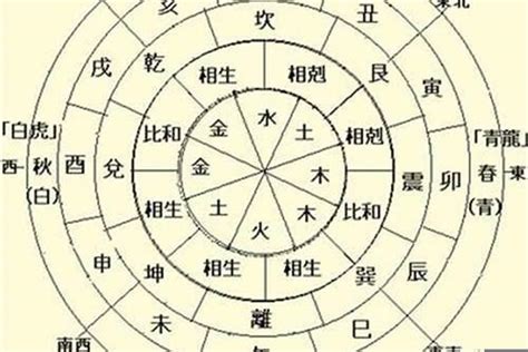 八字天干